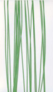 Kožený řemínek plochý barva světle zelená  šíře 2mm délka 1m