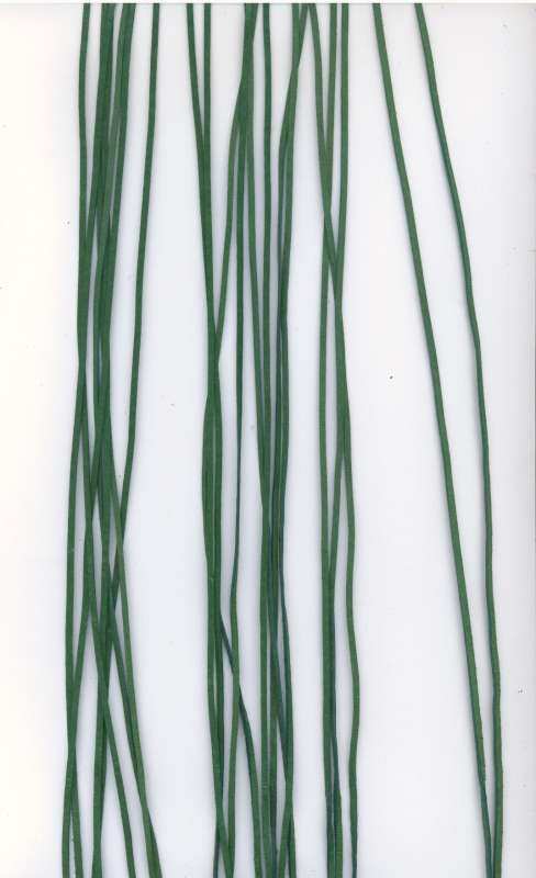 Kožený řemínek plochý barva zelená tmavá šíře 2mm délka 1m.